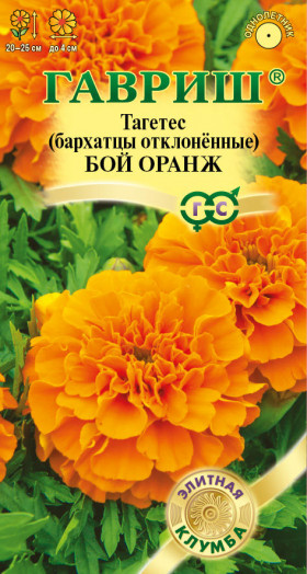 Бой Оранж Ц(Г)