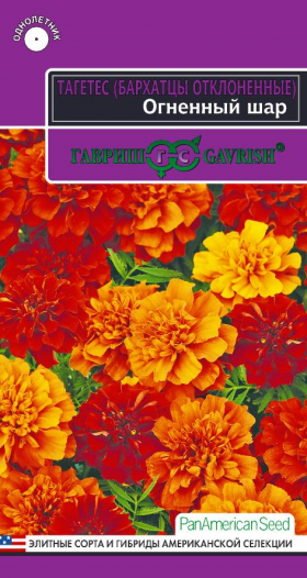 Огненный шар Ц(Г) (1469                     )