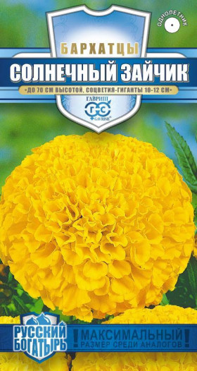 Солнечный зайчик Ц(Г)