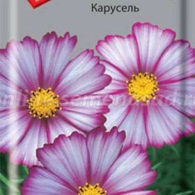 Карусель Ц(Поиск)