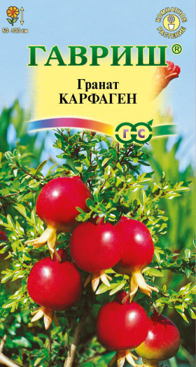 Карфаген карликовый 5 шт.Ц(Г)