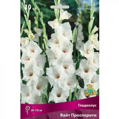 Уайт Просперити 12/14 7шт