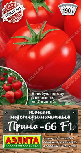 Прима-66  Ц(А)