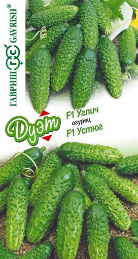 Углич + Устюг Ц(Г)