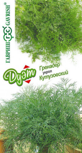 Гренадер + Кутузовский Ц(Г)