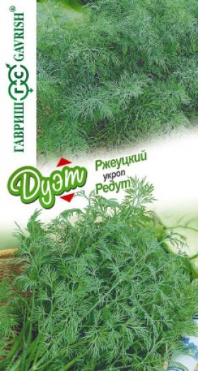 Редут + Ржеуцкий Ц(Г)