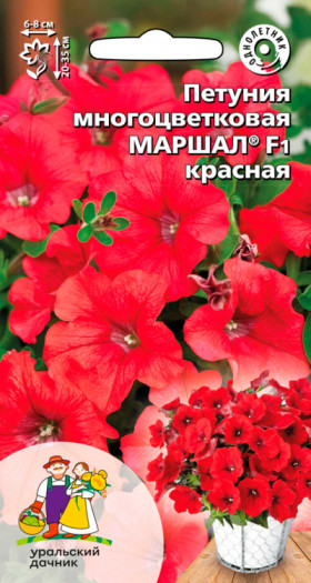 Маршал красная Ц(УД)