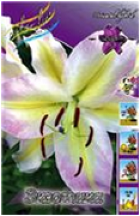 Экзотика (вост) 5шт