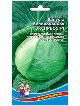 Экспресс очень ранняя Ц(УД)