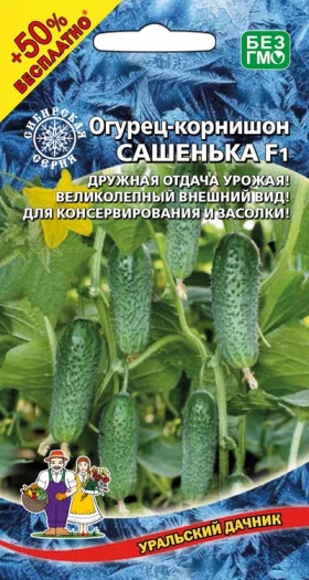 Сашенька корнишон Ц(УД) +50% бесплатно