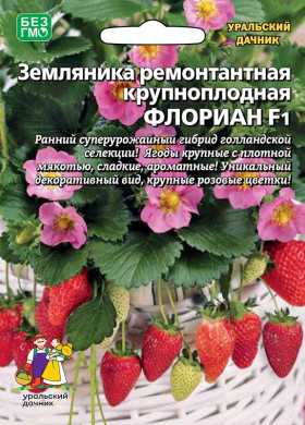 Флориан ремонт. Ц(УД) б/ф