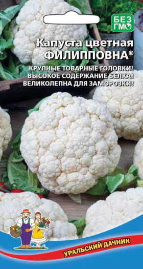 цветная Филипповна Ц(УД)