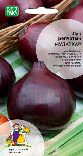 Мулатка репч. Ц(УД)