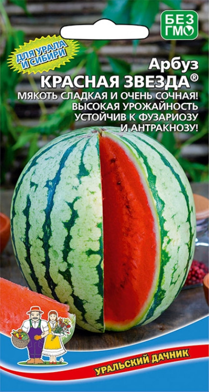 Красная звезда Ц(УД) ()
