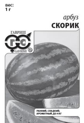 Скорик 1г Б(Г)