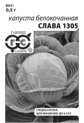 Слава 1305 Б(Г)