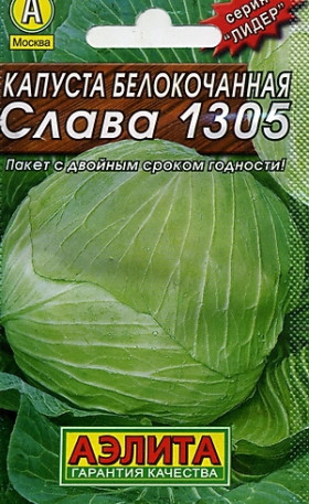 Слава 1305 Лидер