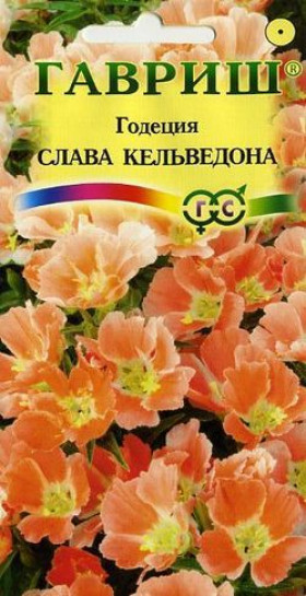 Слава Кальведона Ц(Г)