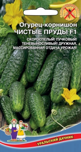 Чистые пруды Ц(УД)