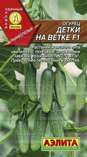 Детки на ветке Ц(А)