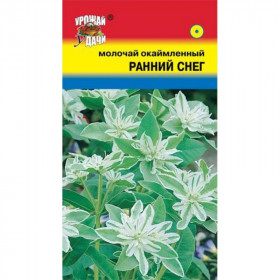 Ранний снег Ц(П)