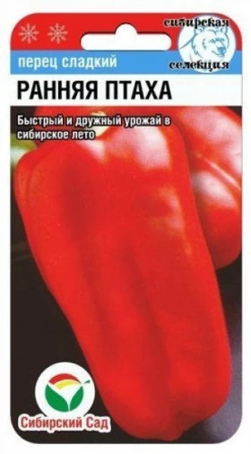 Ранняя птаха СС