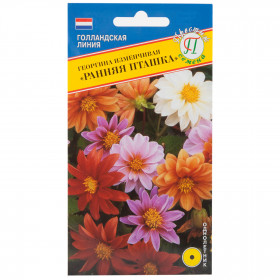 Ранняя пташка Ц(П)