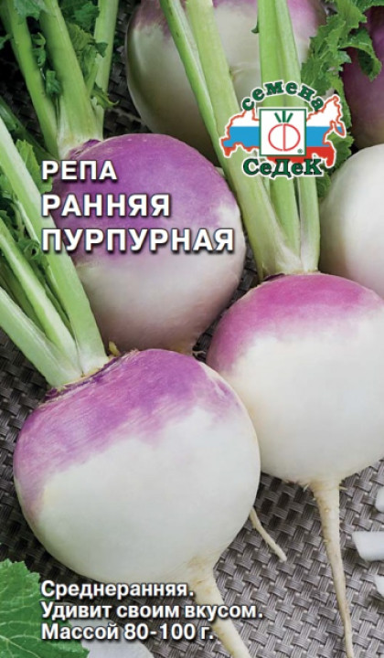 Ранняя Пурпурная Ц(С)