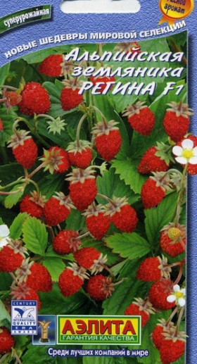 Регина F1 альп. Ц(А)