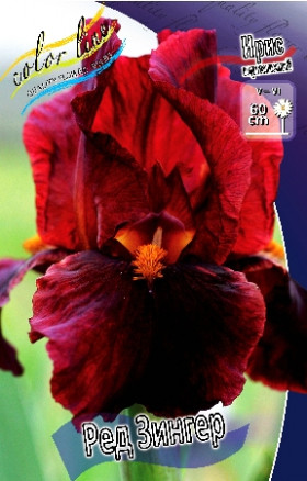 Ред Зингер 1шт