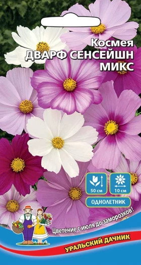 Дварф Сенсейшн Микс Ц(УД)