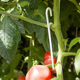 Кистедержатель( двойной крюк)