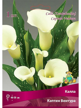 Капитан Вентура 2шт