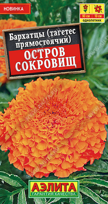 Остров сокровищ прямостоячие Ц(А)