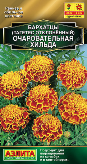 Очаровательная Хильда откл. Ц(А)