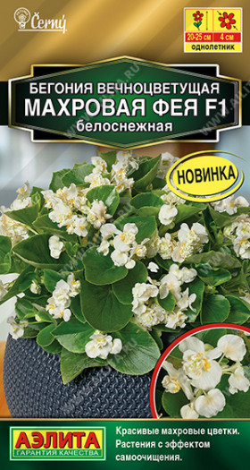 Фея белоснежная вечноцв.махр. Ц(А)