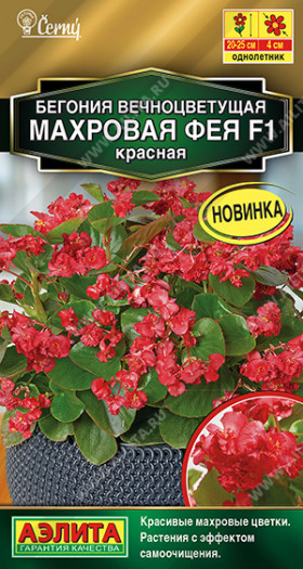 Фея красная вечноцв.махр. Ц(А)