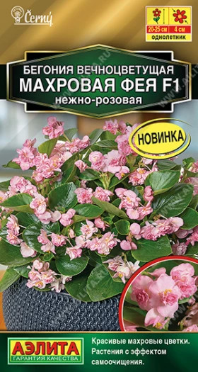 Фея нежно-розовая вечноцв.махр. Ц(А)