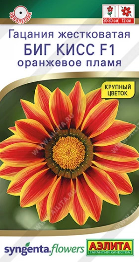 Биг кисс оранжевое пламя Ц(А)