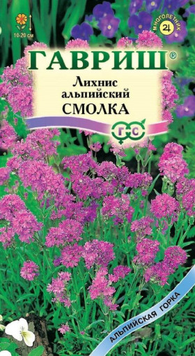 Смолка альпийский Ц(Г)