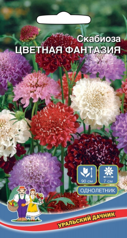 Цветная Фантазия Ц(УД) НОВИНКА