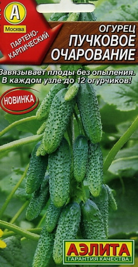 Пучковое Очарование Ц(А)