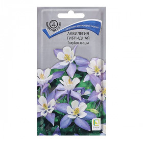 Голубая звезда гибридная Ц(Поиск)