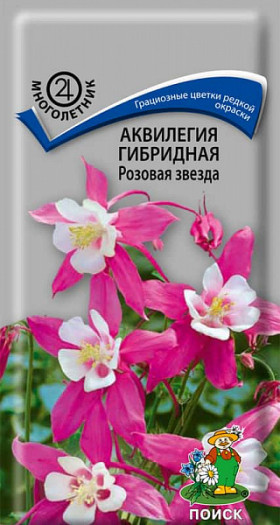 Розовая звезда гибридная Ц(Поиск)