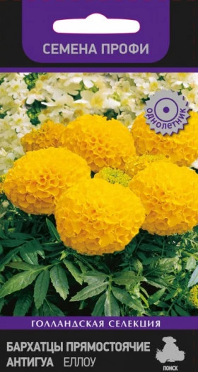 Антигуа Еллоу прямостоячие Ц(Поиск)