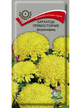 Цитроненпринц прямостоячие Ц(Поиск)