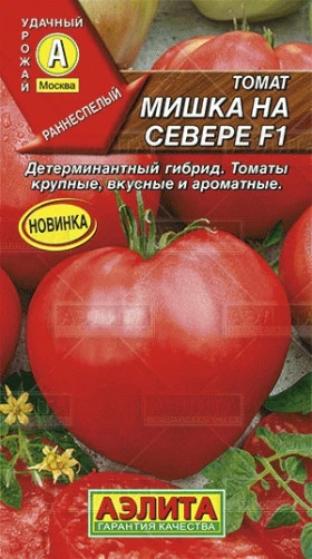 Мишка на севере Ц(А)