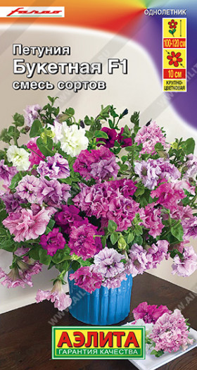 Букетная  махров.крупноцветЦ(А)