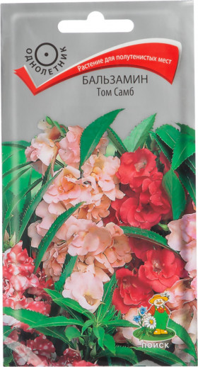 Том Самб Ц(Поиск)