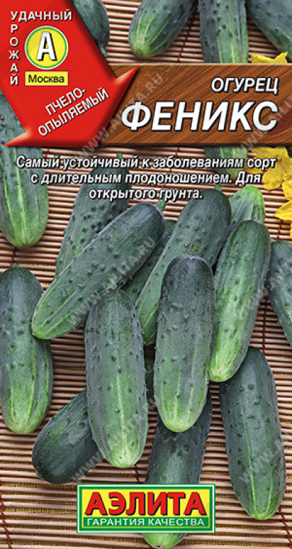 Феникс Ц(А)